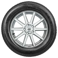 Vredestein Snowtrac 5 205/55 R16 91H -Auto Verkäufe 0330220 Vredestein 205 55 R16 91H Snowtrac 5 MS 15319794 sidewall.jpg