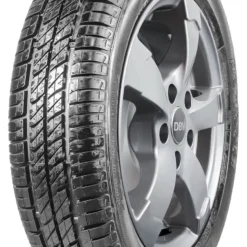Sava Perfecta 165/70 R14 81T