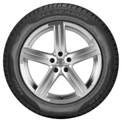Pirelli Cinturato All Season+ 175/65 R14 82T -Auto Verkäufe 0726932 Pirelli 175 65 R14 82T Cinturato All Season 15371631 sidewall.jpg